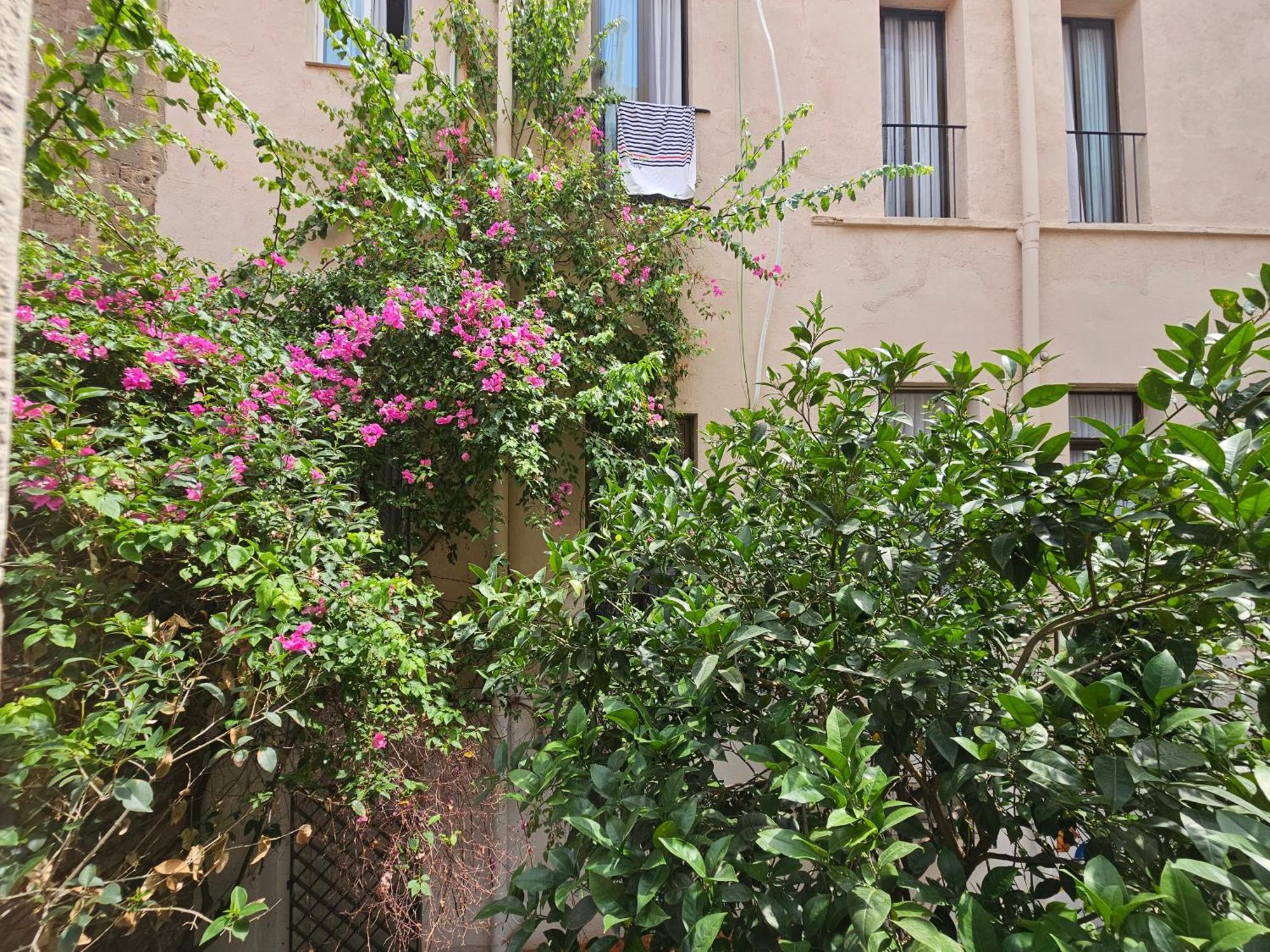 Hotel Palermo — Fotos 1